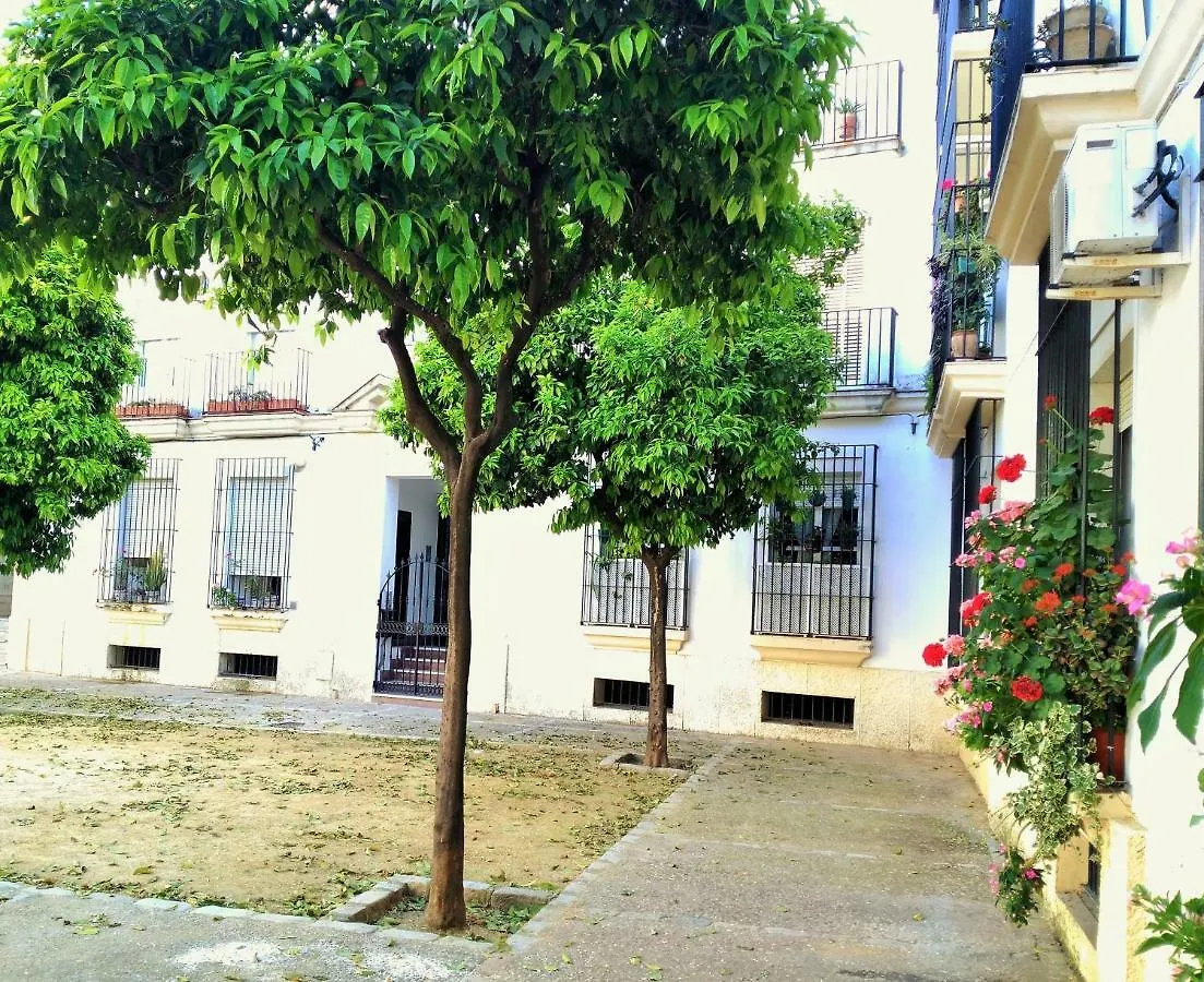 Apartamento Plaza Compania Jerez Jerez de la Frontera 0*,