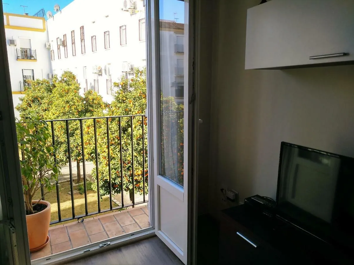 Apartamento Plaza Compañia Jerez Jerez de la Frontera